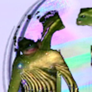 Meet your Posher, Kodi